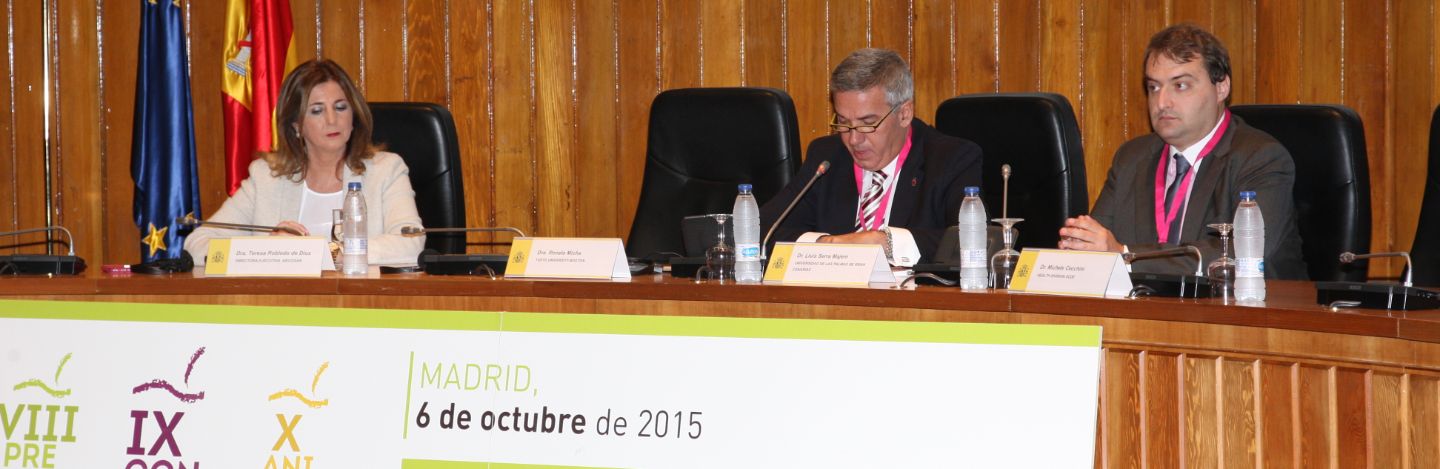 IX_Convencion_7