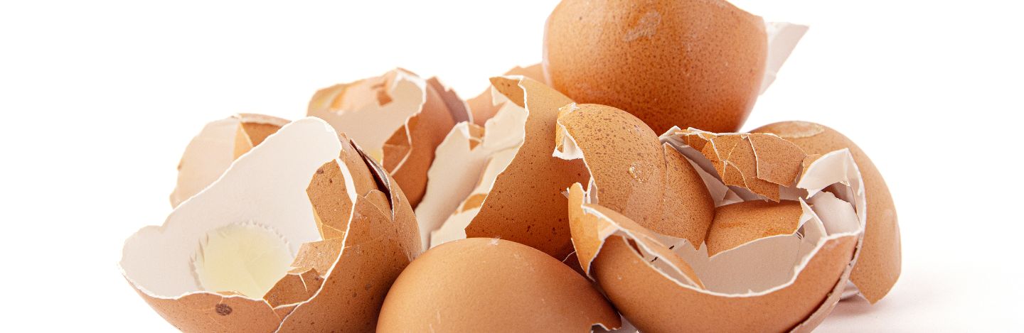 iStock-1387786308