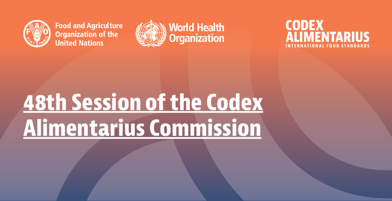 Codex_48