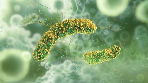 zoonosis_11