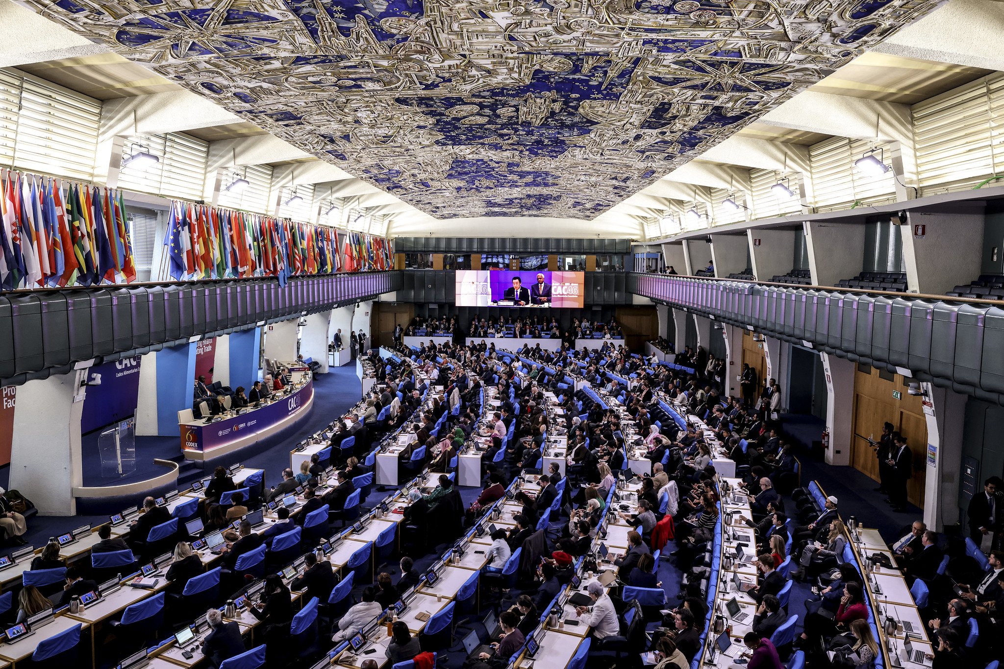 CAC46_Inaguracion_sala