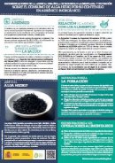 alga_hiziki