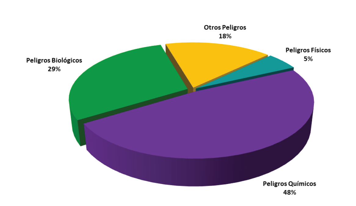  Grafico