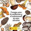 consejo_setas